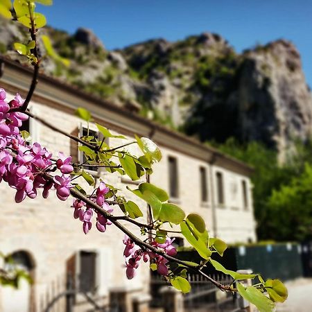 B&B Aquilegia Акуаланя Екстериор снимка