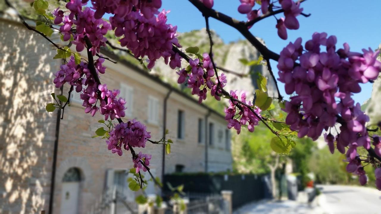 B&B Aquilegia Акуаланя Екстериор снимка